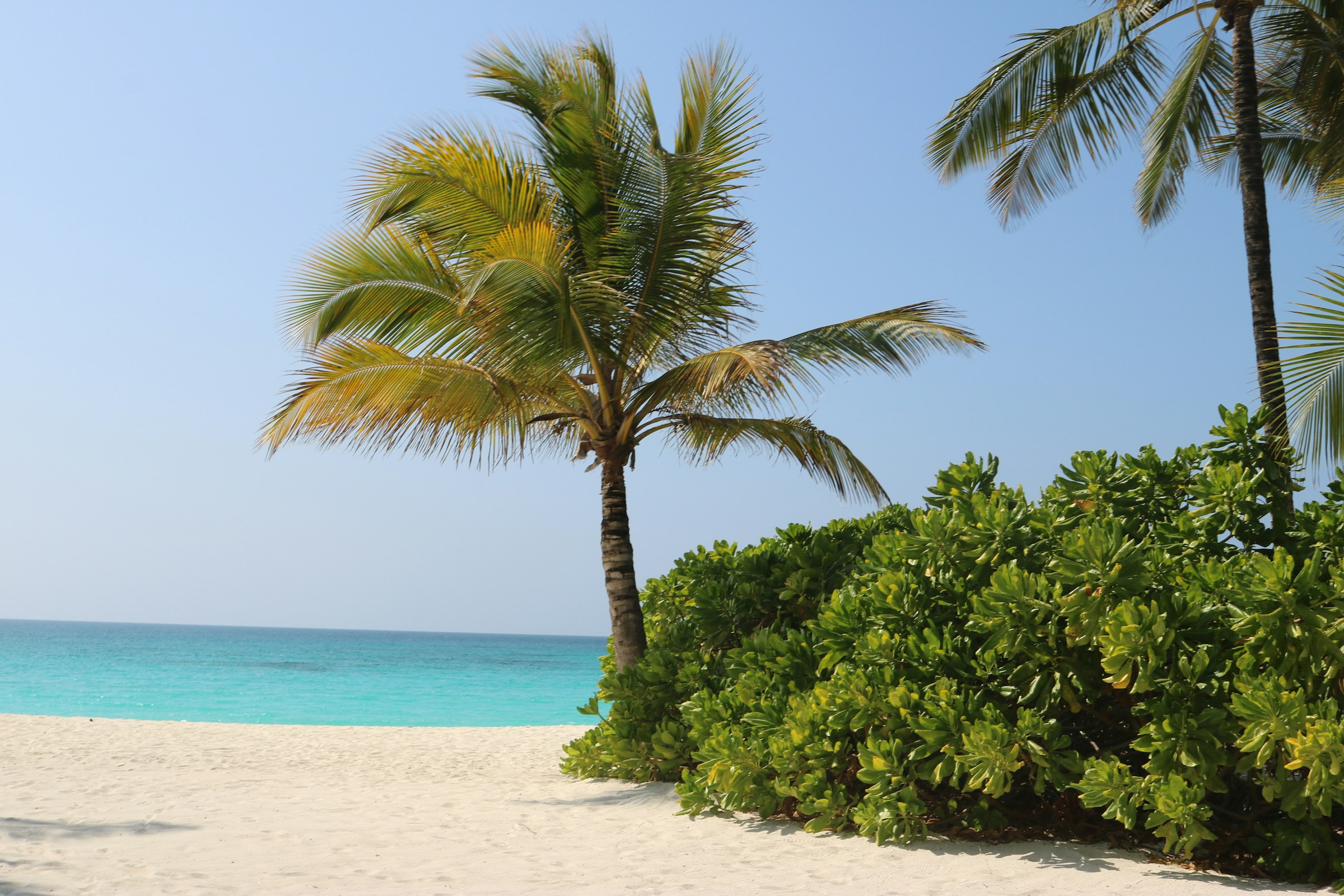 Zanzibar